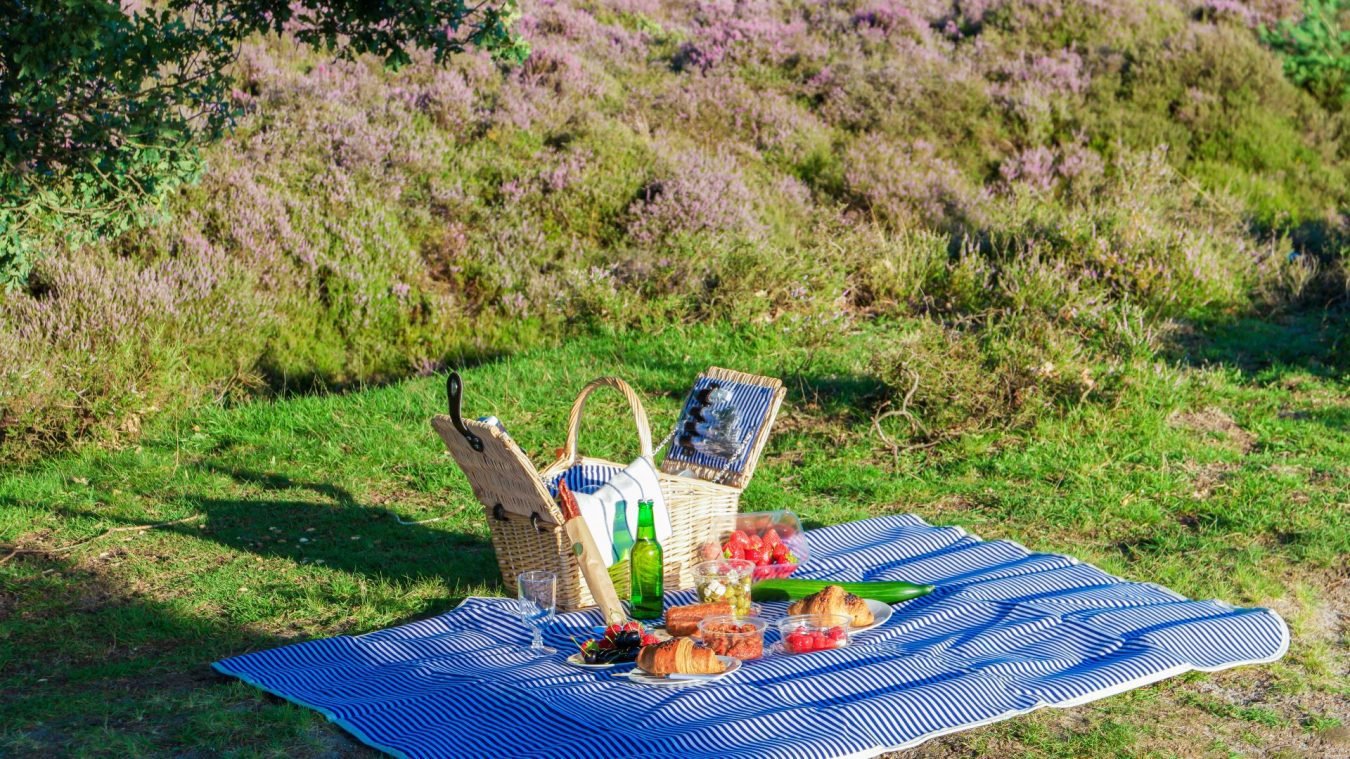 Perfect Picnic