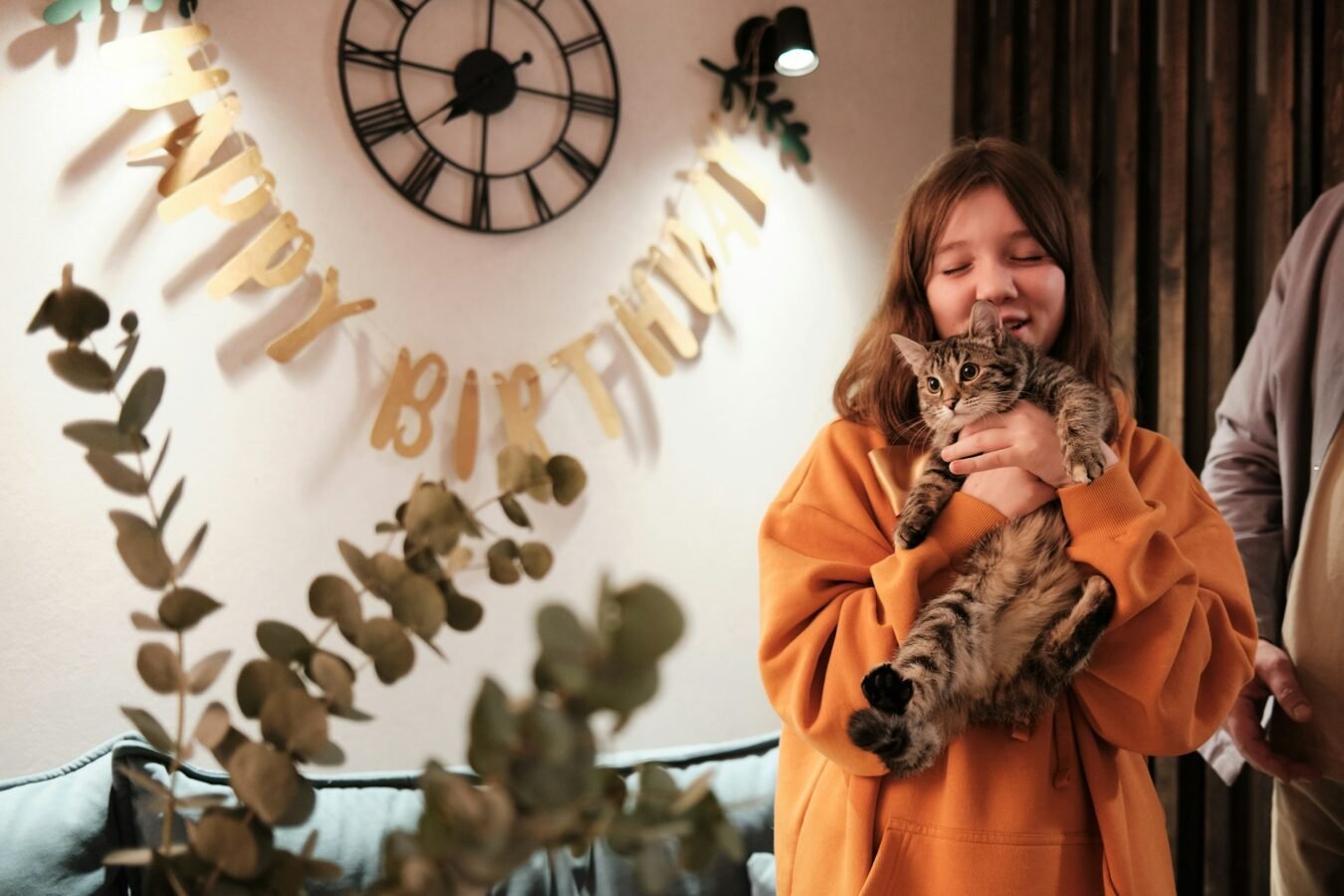 pet-friendly accommodation